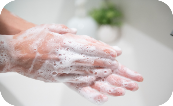 まずは手を洗うことからスタート